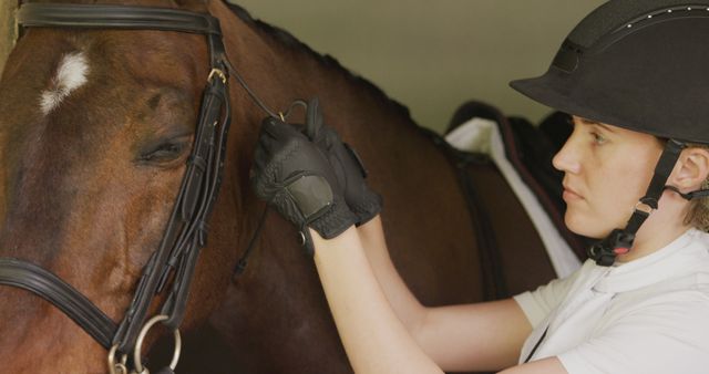 Woman in equestrian gear adjusting bridle on brown horse, preparing for riding session. Use this for content related to horse riding sports, equestrian training, animal care, or horseback riding safety.