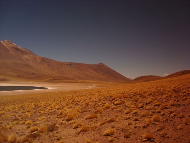 The expansive arid landscape with a distant mountain range and crystal-clear sky showcases the vastness and desolation of the wilderness. This scene is perfect for portraying themes of solitude, remote travel, and natural beauty. Great for use in tourism marketing, nature documentaries, environmental essays, and backgrounds illustrating isolation or openness.