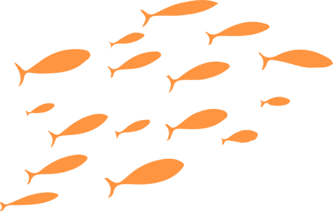 minimalist orange fish silhouettes on transparent background - Download Free Stock Videos Pikwizard.com
