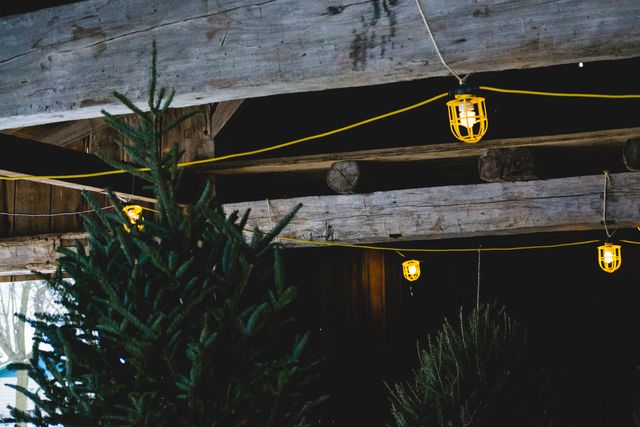 Scene showcases a cozy rustic barn lit by yellow Christmas lights strung along wooden beams. Fresh fir trees add a festive element to the countryside decor. Ideal for holiday greeting cards, festive marketing materials, or interior design inspiration reflecting a warm winter atmosphere.