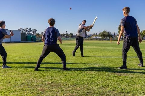 Cricket team practicing batting drill on sunny grass pitch