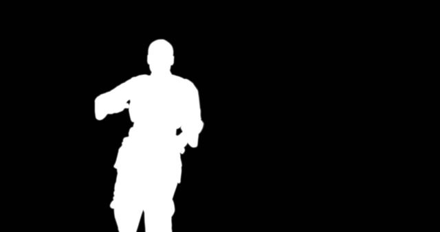 Silhouette of Karate Fighter in Action - Download Free Stock Images Pikwizard.com