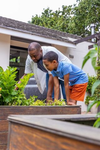 African american father teaching son gardening in raised planter on home patio together