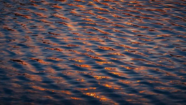 Sunset light reflecting on rippling water surface with golden orange highlights