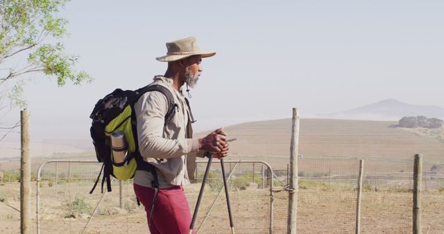 Senior african american man walking with backpack and trekking sticks on sunny day. Hiking, nature and lifestyle concept.