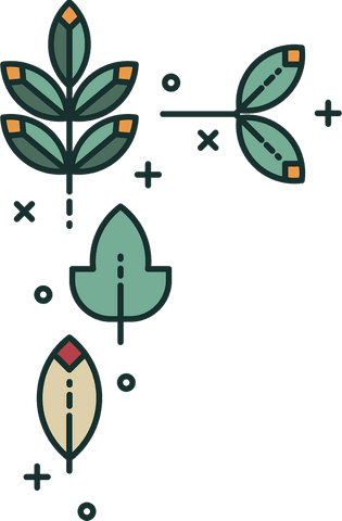 Decorative Abstract Leaves on Transparent Background - Download Free Stock Videos Pikwizard.com