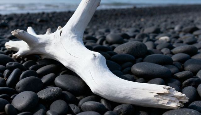 Bleached driftwood resting on smooth black pebbles, minimal coastal texture and contrast