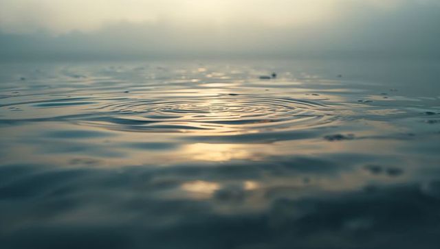 Peaceful Dawn Ripples on Misty Lake