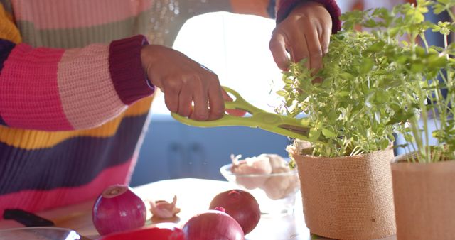 Person cutting fresh herbs with scissors in a bright kitchen. Fresh vegetables like red onions and garlic are on the table. Useful for content related to cooking, food preparation, home gardening, recipe creation, culinary arts, and healthy eating.