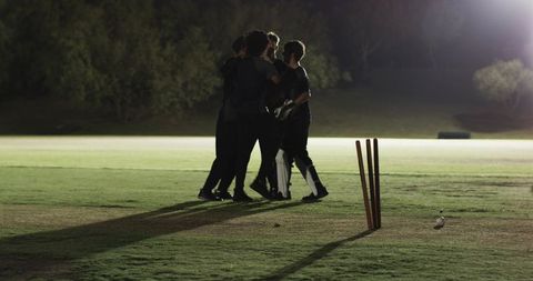 Night cricket team celebrating wicket under floodlights on grassy pitch