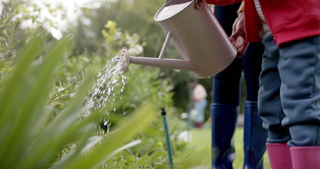 Child Watering Plants in Garden on Bright Sunny Day - Download Free Stock Images Pikwizard.com