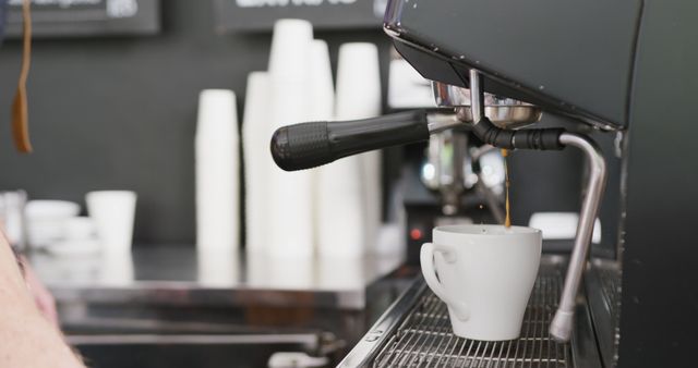 Coffee Machine Brewing Espresso in White Cup at Cafe - Download Free Stock Images Pikwizard.com