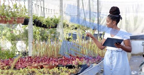 Woman inspecting nursery plants using tablet in greenhouse, conducting inventory analysis