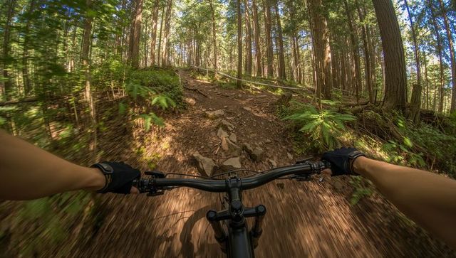 Mountain Biking Through Forest on Rocky Path Adventure
