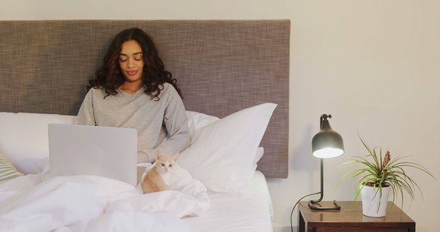 Woman with Laptop and Cat Relaxing in Bed - Download Free Stock Images Pikwizard.com