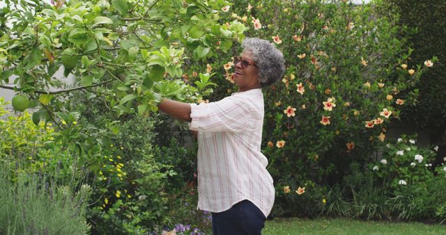 Senior Woman Tending Garden in Blooming Backyard - Download Free Stock Images Pikwizard.com