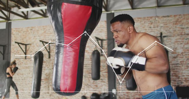 Motivated Boxer Training with Punching Bag in Boxing Gym - Download Free Stock Images Pikwizard.com