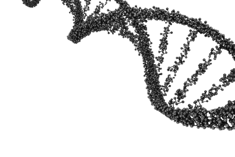 High-Impact Transparent DNA Double Helix Textured - Download Free Stock Videos Pikwizard.com