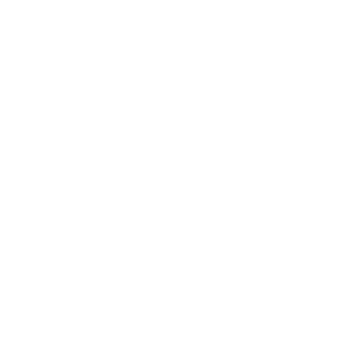 white spider on intricate web transparent illustration - Download Free Stock Videos Pikwizard.com
