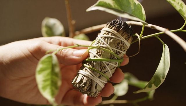 Hand holding sage smudge stick wrapped with twine and pothos tendrils in warm light ritual use