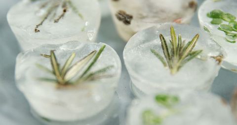 Herb infused ice cubes for refreshing beverages