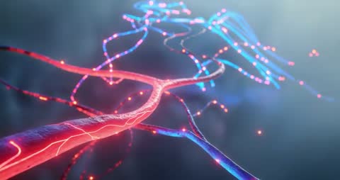 Connecting Red and Blue Pulses Across Digital Network Filaments