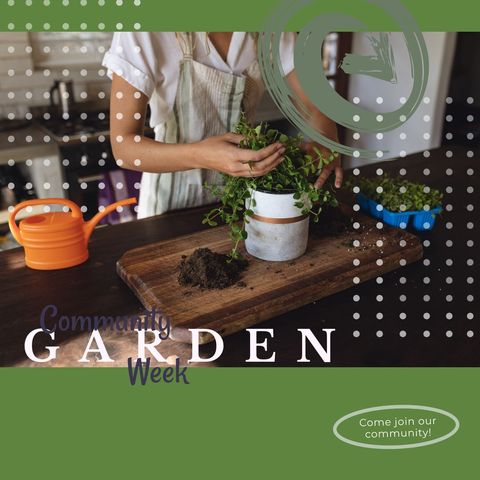 Woman Planting Herbs in Kitchen for Community Garden Week - Download Free Stock Templates Pikwizard.com