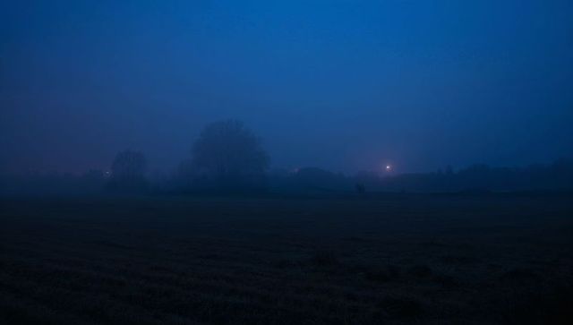 Blue predawn fog over rural meadow with silhouetted trees, misty horizon and distant lights