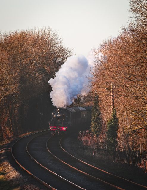 Steam train is traveling through countryside during sunset. Ideal for use in nostalgic scenes, romantic sentiments, rural setting illustrations, vintage transportation themes, travel brochures, and historical or heritage discussions.