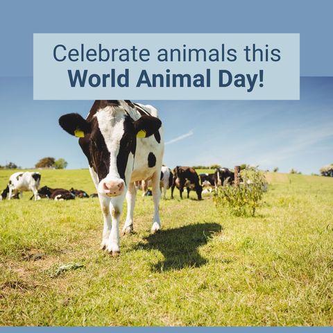 world animal day celebrations highlight cows in pasture - Download Free Stock Templates Pikwizard.com