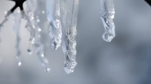 Melting icicle dripping from twig under warm sunlight close-up macro winter thaw footage