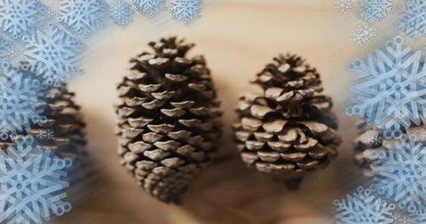 Rustic pine cone trio with snowflake border on pale wood holiday closeup