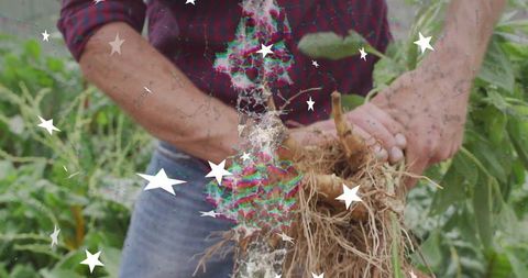 Farmer Harvesting Fresh Organic Roots in Green Field