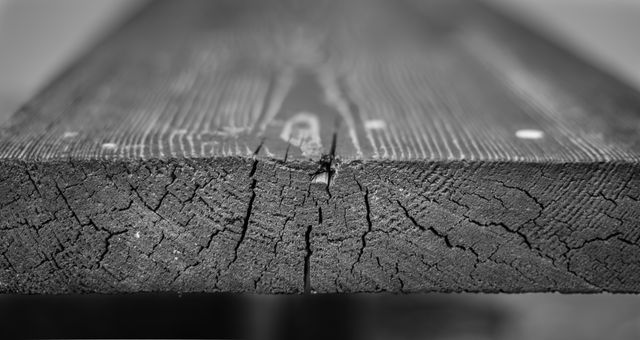 This weathered wooden plank with visible cracks and grain patterns in black and white adds a rustic and aged aesthetic. Perfect for backgrounds, textures, woodworking projects, and vintage-themed designs.