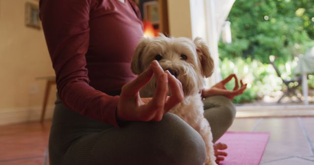 Person practicing meditation indoors with a small dog sitting nearby. The person is sitting cross-legged on a yoga mat in a serene atmosphere with natural light coming from a nearby window. Ideal for content related to mindfulness, relaxation, pet companionship during wellness routines, and home fitness.
