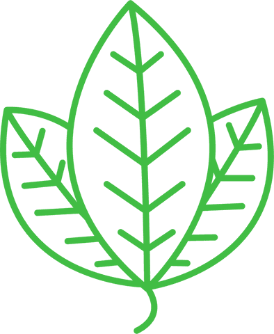 Green Leaves Vector Icon on Transparent Background - Download Free Stock Videos Pikwizard.com