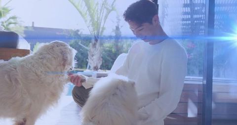 Asian teen petting two fluffy white dogs on sunlit patio, smiling with blue lens flare