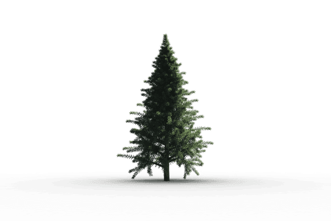 Realistic Transparent Christmas Tree Illustration PNG Format - Download Free Stock Videos Pikwizard.com