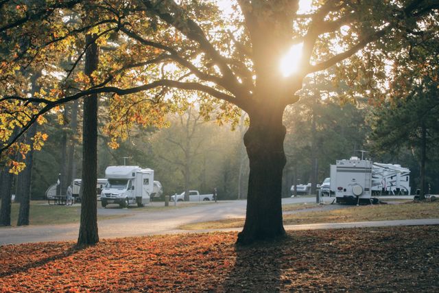 Morning sunlight shining through the branches of a tree, illuminating an RV park with scattered recreational vehicles. The fallen autumn leaves create a warm and inviting atmosphere. Ideal for promoting camping, outdoor adventures, RV parks, or nature-oriented vacation experiences.