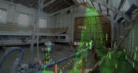 Chickens in poultry barn analyzing sensor data for sustainable farming