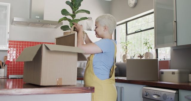 Biracial woman packing cardboard box with plant in kitchen. Lifestyle, free time and domestic life, unaltered.