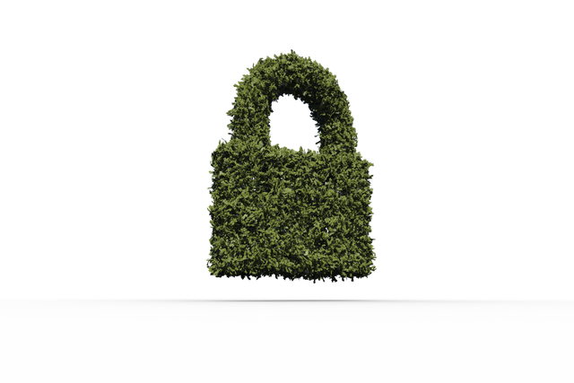 Transparent Eco-Friendly Padlock Icon Made of Green Leaves - Download Free Stock Videos Pikwizard.com