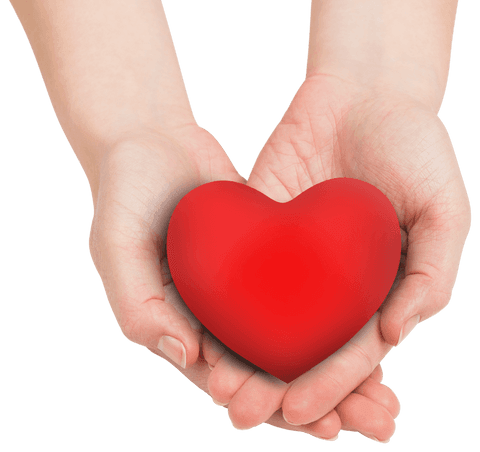 Hands Holding Red Heart with Transparent Background Love Concept