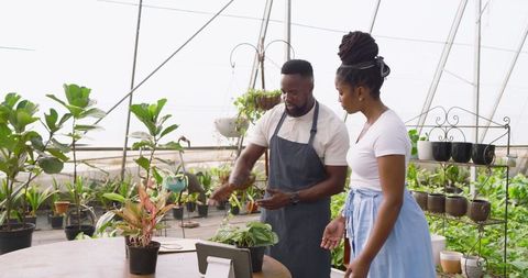 African American Coworkers in Greenhouse Discussing Plants