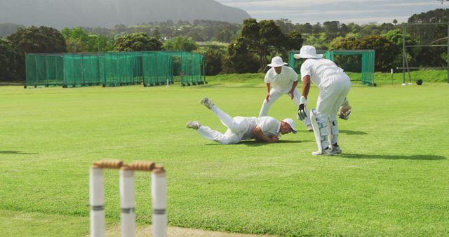 Cricket Players in Action on Green Field - Download Free Stock Images Pikwizard.com