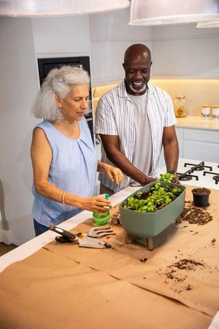 Diverse senior couple enjoying indoor gardening together