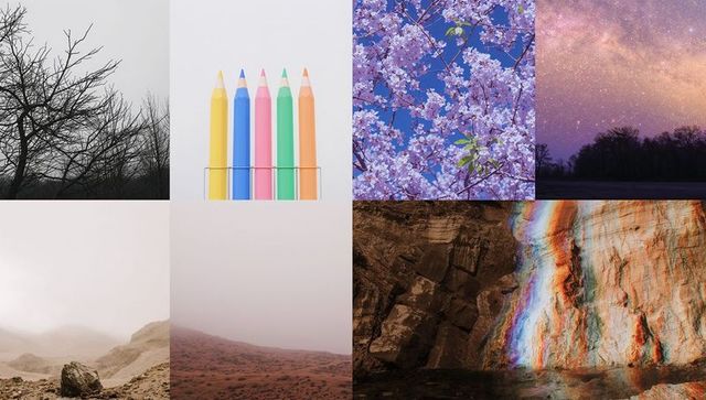 Nature-inspired artistic collage with colorful elements for creative projects