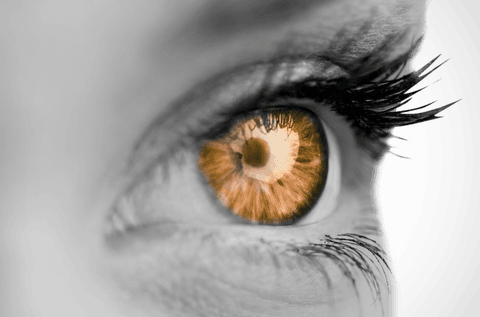 macro view of woman's amber eye on transparent background - Download Free Stock Videos Pikwizard.com