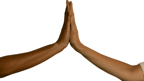 Close-up View of Diverse Hands in High Five on Transparent Background - Download Free Stock Videos Pikwizard.com