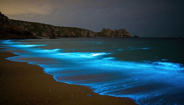 Bioluminescent waves glowing along moonlit rocky coastline at night
